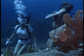 Jacqueline Bisset Diving In The Deep
